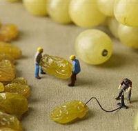 Hunter Valley Wine School - Attractions Melbourne