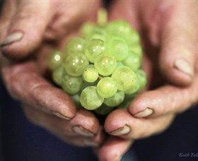 Keith Tulloch Wine - Attractions Melbourne 1