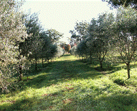 Langdale Farm - Attractions Melbourne