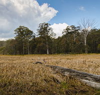 Mummel Gulf National Park - Attractions Melbourne