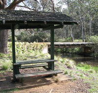 Barrington Tops State Forest - Attractions Melbourne