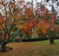 Bellbird Cottage - Attractions Melbourne