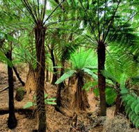 Pegarah Private Nature Reserve  Parenna Place - Attractions Melbourne