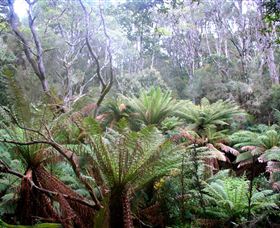 Pegarah Private Nature Reserve & Parenna Place - Attractions Melbourne 1