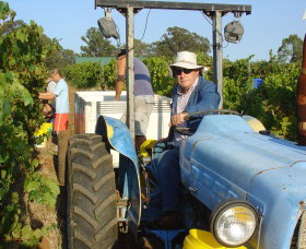 Pokolbin Brothers Wines Hunter Valley - Attractions Melbourne 1