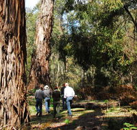 Tallaganda National Park - Attractions Melbourne