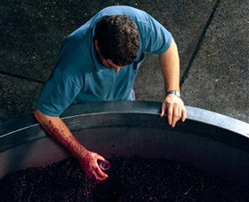 Calais Estate Wines - Attractions Melbourne 2