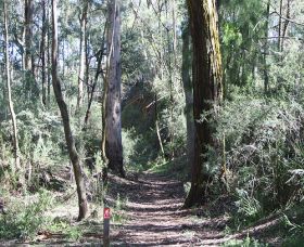 Box Vale Mine Walking Track And Lookout - Attractions Melbourne 0