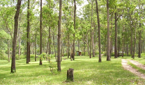 Nymboida National Park - Attractions Melbourne 2