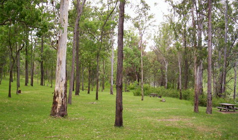 Nymboida National Park - Attractions Melbourne 3