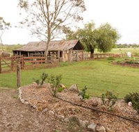 Camden Town Farm - Attractions Melbourne