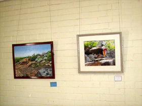 Maryborough Art Society Inc. - Attractions Melbourne 2
