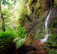 Fairy Bower Falls - Attractions Melbourne