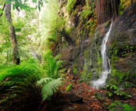 Fairy Bower Falls - Attractions Melbourne 0