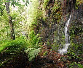 Fairy Bower Falls - Attractions Melbourne 2