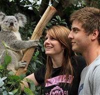 Featherdale Wildlife Park - Attractions Melbourne