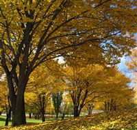 Centennial Park at Cooma - Attractions Melbourne