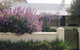 Lambie Town Walk - thumb 4