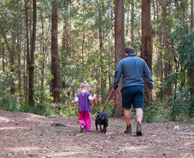 Olney State Forest - Watagan Mountains - Attractions Melbourne 0