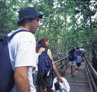 Bellthorpe National Park - Attractions Melbourne
