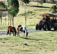 Calmsley Hill City Farm - Attractions Melbourne