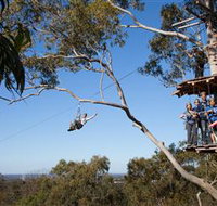TreeTop Safari - Attractions Melbourne