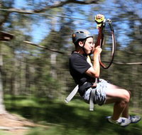 TreeTop Adventure Park Sydney - Attractions Melbourne