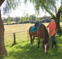 Sugarloaf Horse Centre - Attractions Melbourne