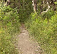 Three Views walking track - Attractions Melbourne