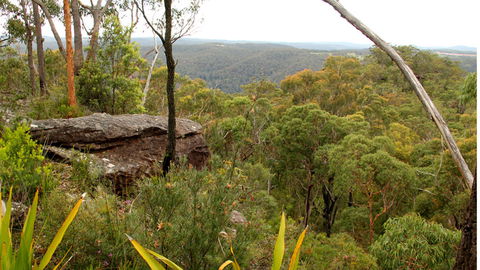 Mount Olive Lookout - Attractions Melbourne 2