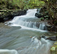 Jerusalem Creek trail - Attractions Melbourne