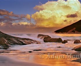 Monk Art Photography And Gallery - Attractions Melbourne 2