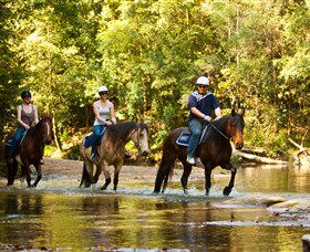 Glenworth Valley Outdoor Adventures - Attractions Melbourne 2
