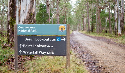 Beech Lookout - Attractions Melbourne 0
