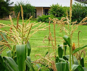 Experiment Farm Cottage - Attractions Melbourne 4