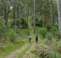 The Green Gully track - Attractions Melbourne