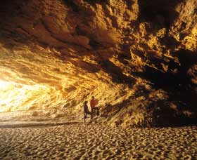 Stockyard Gully National Park - Attractions Melbourne 0