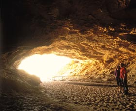 Stockyard Gully National Park - Attractions Melbourne 2