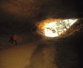 Stockyard Gully National Park - Attractions Melbourne 3