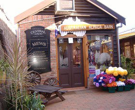 Australian Alpaca Barn - Morpeth - Attractions Melbourne 0