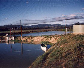 Trudgalong Farm - Attractions Melbourne 1