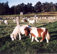 Trudgalong Farm - Attractions Melbourne