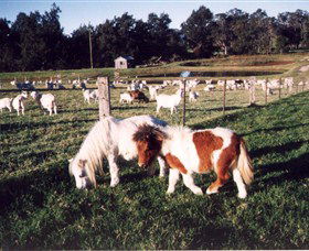 Trudgalong Farm - Attractions Melbourne 0