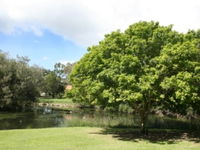 Hervey Bay Botanic Gardens