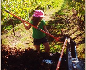 East Gippsland Wines - Attractions Melbourne 5