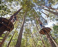 Book Yarramalong Accommodation Vacations Attractions Melbourne Attractions Melbourne