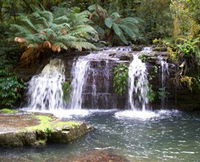 Barrington Tops National Park Walks