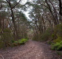 Budawang National Park - Attractions Melbourne