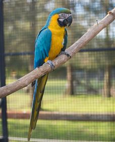 Amazement Farm And Fun Park / Cafe And Farmstay Accommodation - Attractions Melbourne 8