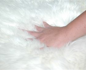 Mortels Sheepskin Factory - Attractions Melbourne 4